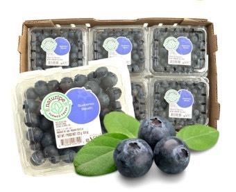 Việt Quất Mỹ Organic