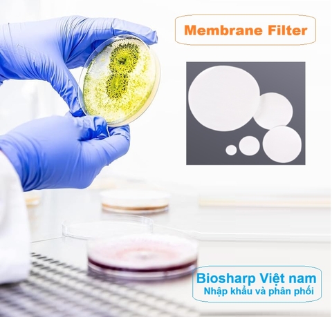 Màng lọc mẫu Nylon (Ny) đk 13-50mm/0.22µm-0.45µm, 4x25 chiếc/hộp, hãng Biosharp