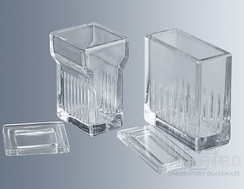 Bình nhuộm lam kính (Glass Staining Jar), 20-60 vị trí lam kính 25x75mm (giá đỡ lam tương thích), hãng Biosharp