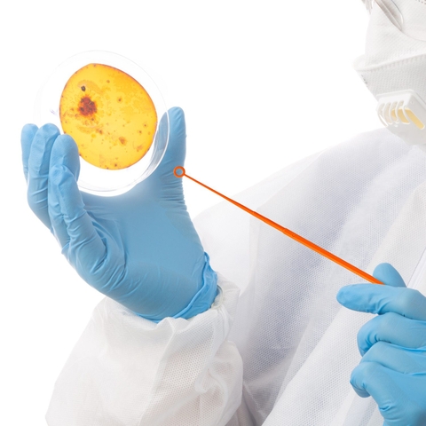 Que cấy vi sinh 10ul, túi 25 chiếc tiệt trùng, 65-0010, hãng Biologix-USA