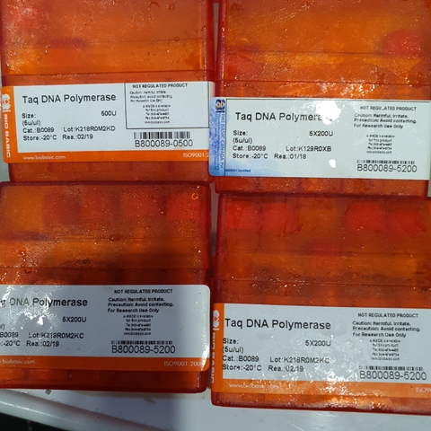 Taq DNA Polymerase, 5u/ul, hộp (5x200U), B0089, hãng BioBasic-Canada