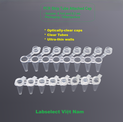 0.1ml/ 0.2ml 8 Strip PCR Tube nắp liền ống, 120 trip/ gói, hãng Labselect