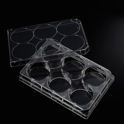 Phiến nuôi cấy tế bào 6 giếng, tiệt trùng 1 cái/túi (Cell Culture Plates), mã 07-6006, Biologix-USA