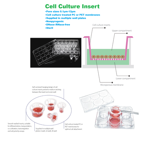 Insert cho đĩa nuôi cấy tế bào 24 giếng, chất liệu PC (Inserts in 24-well plates) Labselect