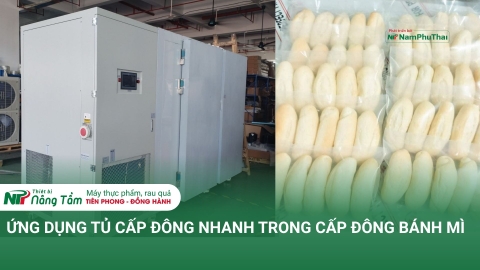 ỨNG DỤNG TỦ CẤP ĐÔNG NHANH TRONG CẤP ĐÔNG BÁNH MÌ