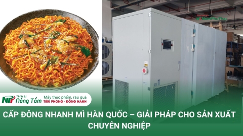 CẤP ĐÔNG NHANH MÌ HÀN QUỐC – GIẢI PHÁP CHO SẢN XUẤT CHUYÊN NGHIỆP