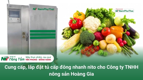 Cung cấp, lắp đặt tủ cấp đông nhanh nito cho Công ty TNHH nông sản Hoàng Gia