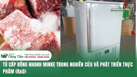 TỦ CẤP ĐÔNG NHANH MINKE TRONG NGHIÊN CỨU VÀ PHÁT TRIỂN THỰC PHẨM (R&D)