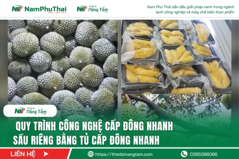 Quy trình công nghệ cấp đông nhanh sầu riêng bằng tủ cấp đông nhanh
