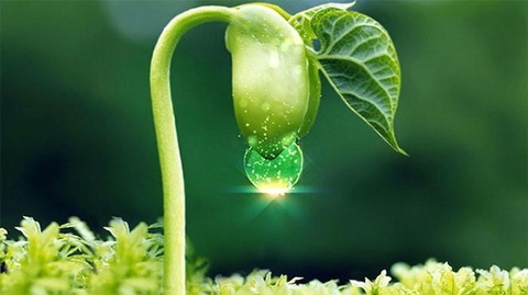 YÊU CẦU CỦA TRUNG QUỐC VỀ ATTP ĐỐI VỚI THỰC PHẨM NGUỒN GỐC THỰC VẬT NHẬP KHẨU