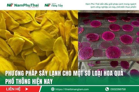 Phương pháp sấy lạnh cho một số loại hoa quả phổ thông hiện nay