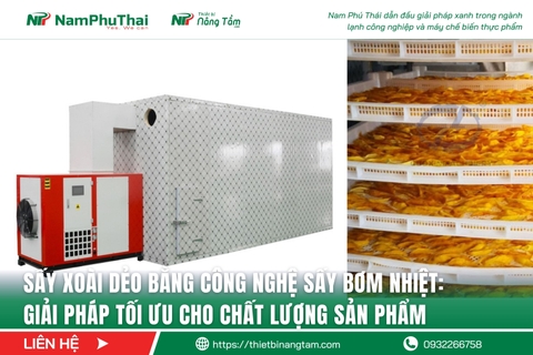 Sấy Xoài Dẻo Bằng Công Nghệ Sấy Bơm Nhiệt: Giải Pháp Tối Ưu Cho Chất Lượng Sản Phẩm