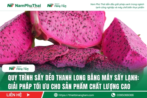 Quy trình sấy dẻo thanh long bằng máy sấy lạnh: Giải pháp tối ưu cho sản phẩm chất lượng cao