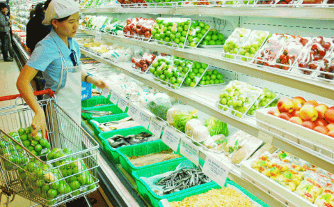 SETUP KINH DOANH CỬA HÀNG THỰC PHẨM, TRÁI CÂY NHẬP KHẨU