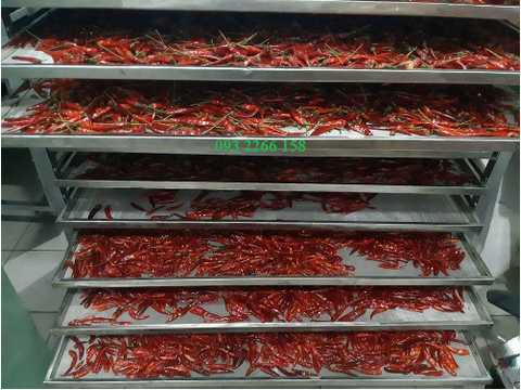 Máy sấy thực phẩm, khô bò, khô gà