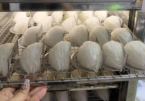 Giải pháp sấy tổ yến bằng công nghệ sấy lạnh - Giải pháp hoàn thiện cho nông sản Việt