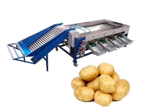 Máy phân loại khoai tây theo kích cỡ Takudo