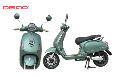 XE MÁY ĐIỆN DIBAO PANSY S2 (càng nhôm)