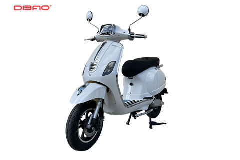 XE MÁY ĐIỆN DIBAO PANSY SQ2