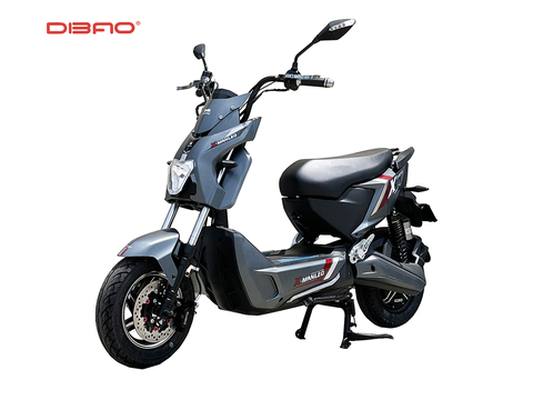 XE MÁY ĐIỆN DIBAO XMAN-LEO