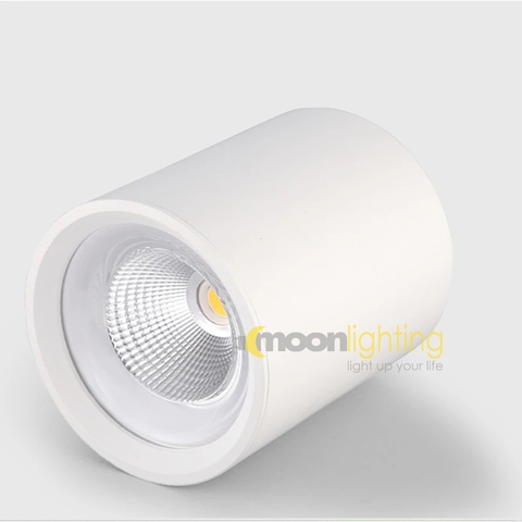 Đèn Downlight đôi ốp nổi tròn