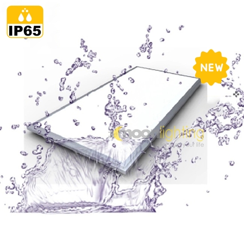 Đèn Panel Clip in 300x600 cho phòng sạch IP65