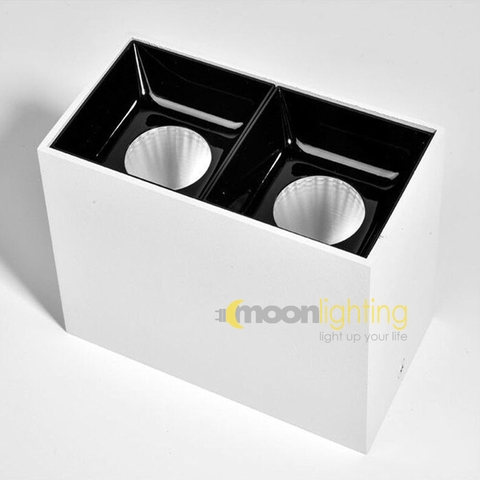 Đèn Downlight đôi ốp nổi vuông
