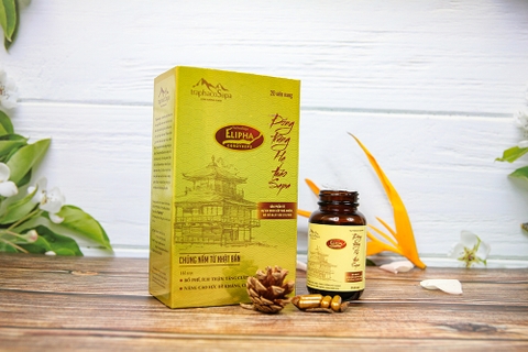 Viên nang Đông trùng hạ thảo Sapa 28 viên