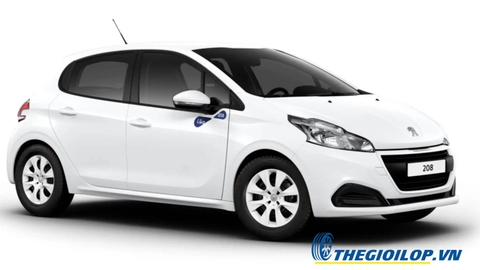 Ắc quy Peugeot 208