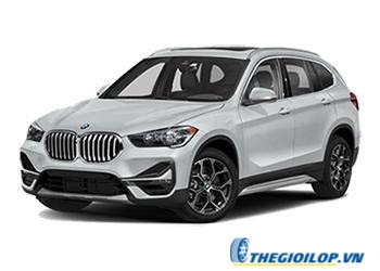 Ắc quy BMW X1