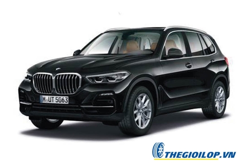 Ắc quy BMW X5