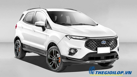 Ắc quy Ford EcoSport