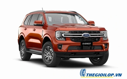 Ắc quy Ford Everest