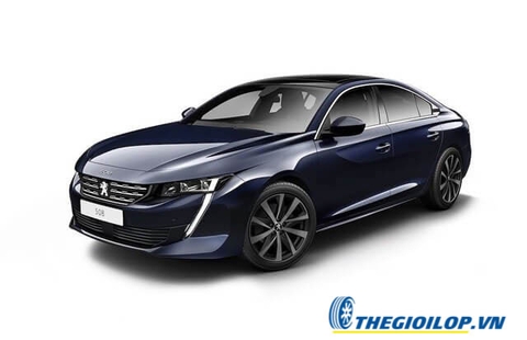 Ắc quy Peugeot 508