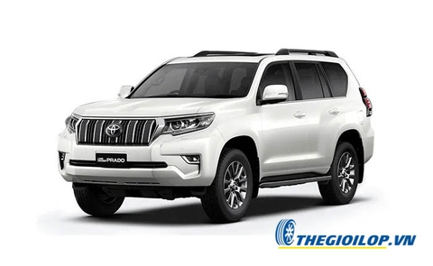 Ắc quy Toyota Prado