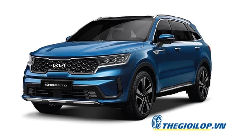 Ắc quy Kia Sorento
