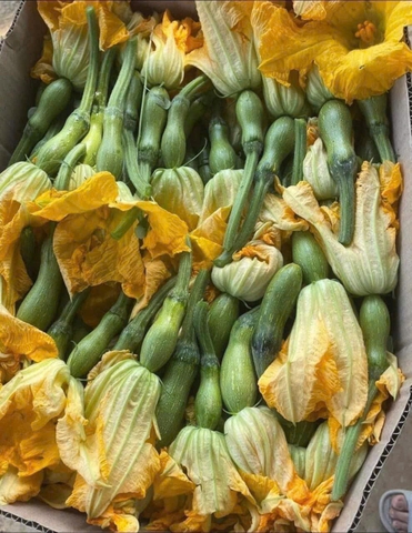 Nụ bí bao tử