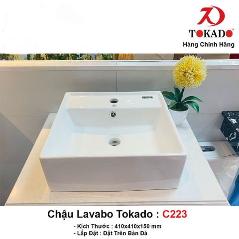 Chậu C223 Tokado