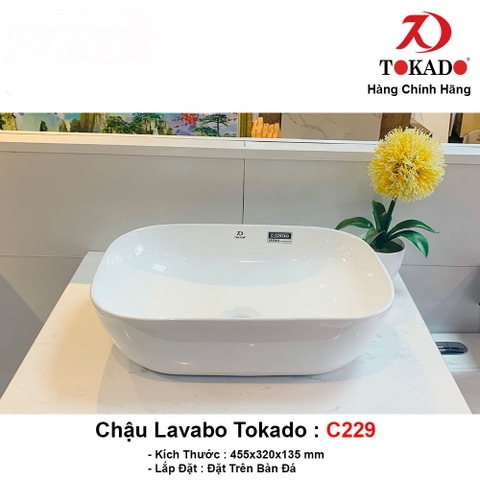 Chậu C229 Tokado