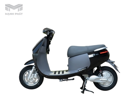 XE MÁY ĐIỆN GOGO NEW S2