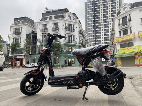 XE ĐẠP ĐIỆN 133S NT BIKE