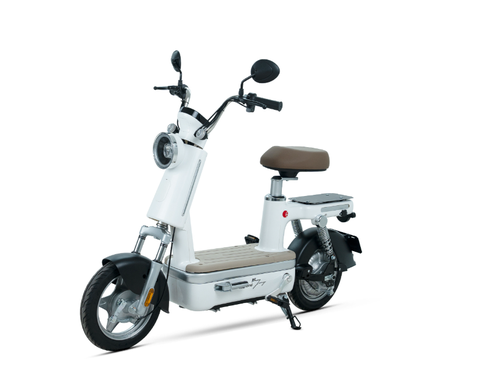 XE ĐẠP ĐIỆN BEJOY