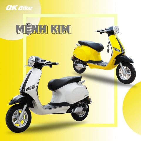 DK BIKE - XE MÁY ĐIỆN VESPA ROMA SX