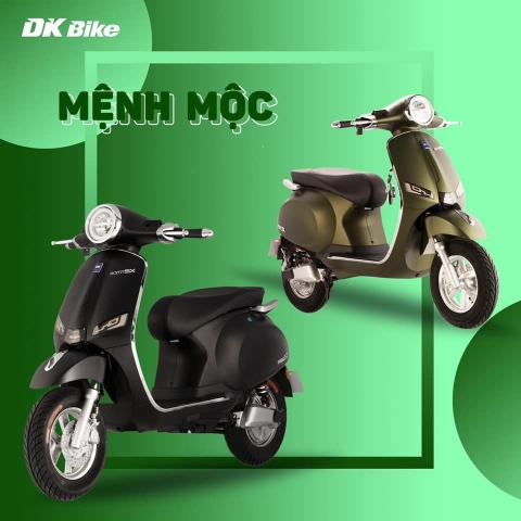 DK BIKE - XE MÁY ĐIỆN VESPA ROMA SX