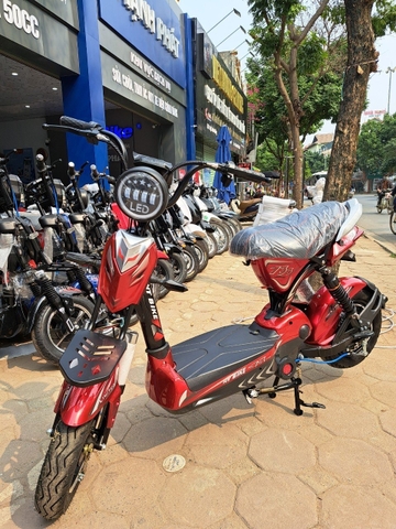 XE ĐẠP ĐIỆN 133S NT BIKE
