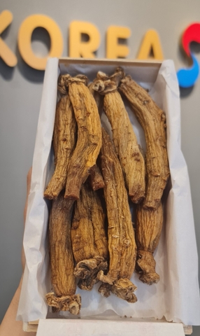 Sâm khô hộp thiếc chính phủ Choeng kwang jang