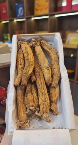 Sâm khô hộp thiếc chính phủ Choeng kwang jang