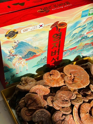 NẤM LINH CHI TIẾN VUA