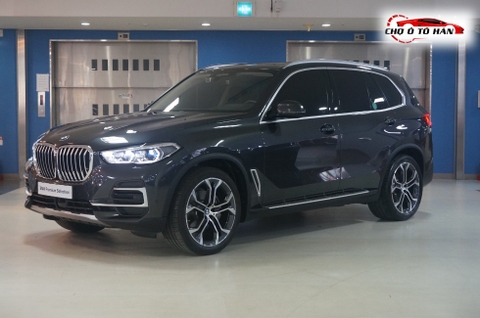 BMW X5 (G05) xDrive 30d xLine