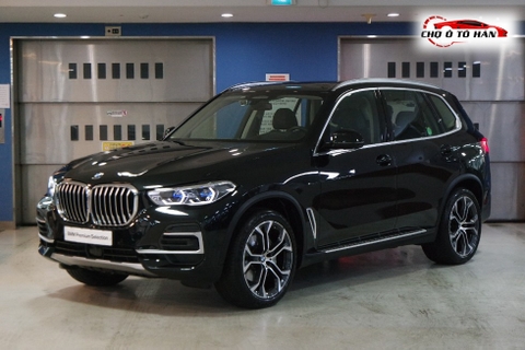 BMW X5 (G05) xDrive 30d xLine